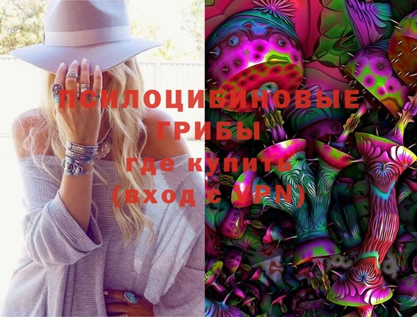 крисы Белоозёрский
