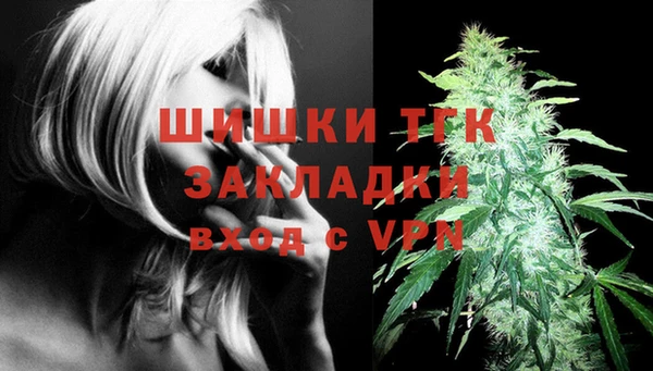 крисы Белоозёрский