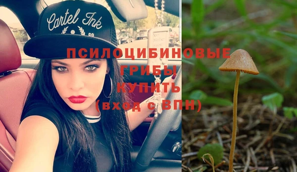 гашик Белокуриха