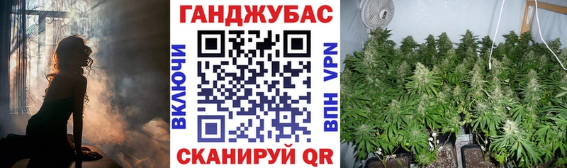 Купить где Завитинск Бошки марихуана VHQ